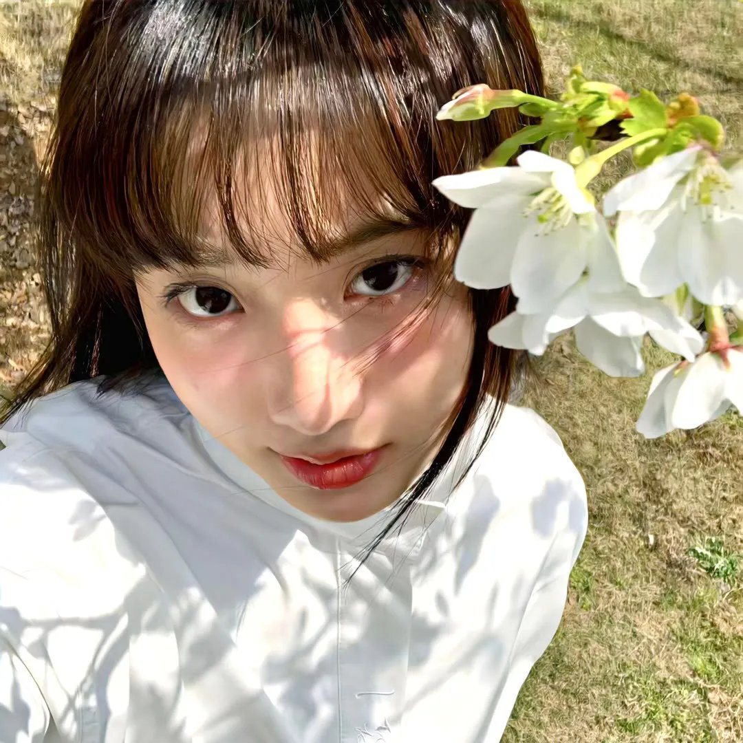 乔伊2024